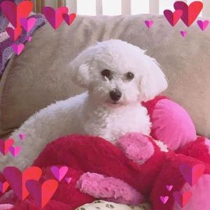 Meet your Posher, Christy